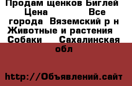 Продам щенков Биглей › Цена ­ 15 000 - Все города, Вяземский р-н Животные и растения » Собаки   . Сахалинская обл.